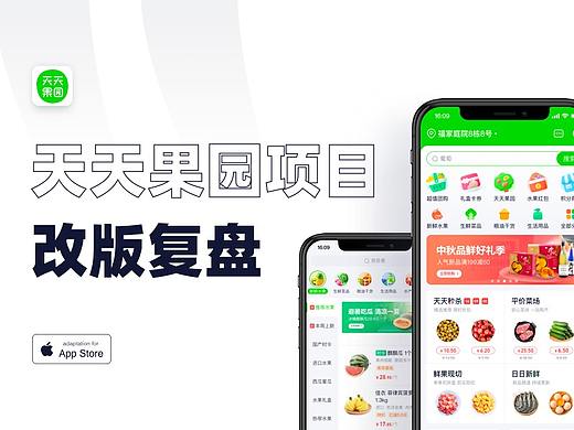 天天果园项目复盘