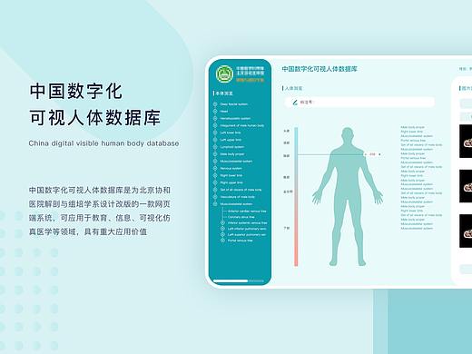 中国数字化 可视人体数据库（个人主页-ZNTg0ODA5Mjg=） - 软件界面 - 站酷设计师水煮蛋YA原创素材 - 站酷ZCOOL