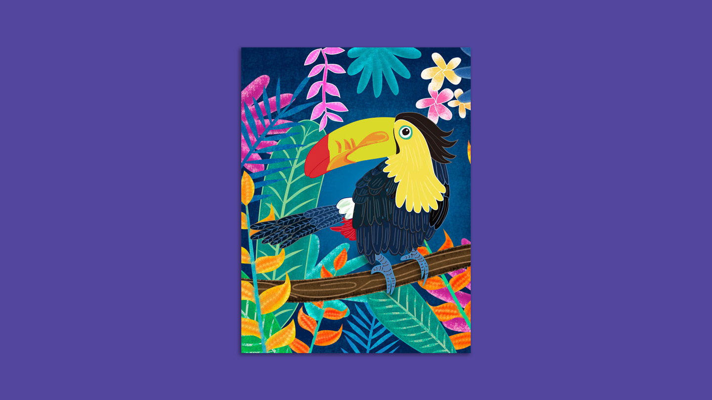 巨嘴鸟坚果巧克力