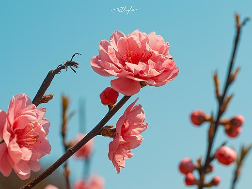 春天来啦～