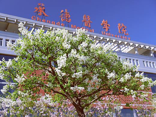 河北承德医学院书签