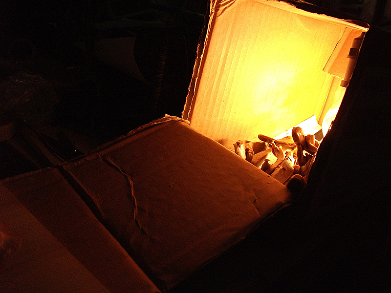 纪念大学时期的油泥作业￣▽￣（图ZMzc1Mzk0NDA=） - 手办/模玩 - 站酷设计师suiminori原创素材 - 站酷ZCOOL