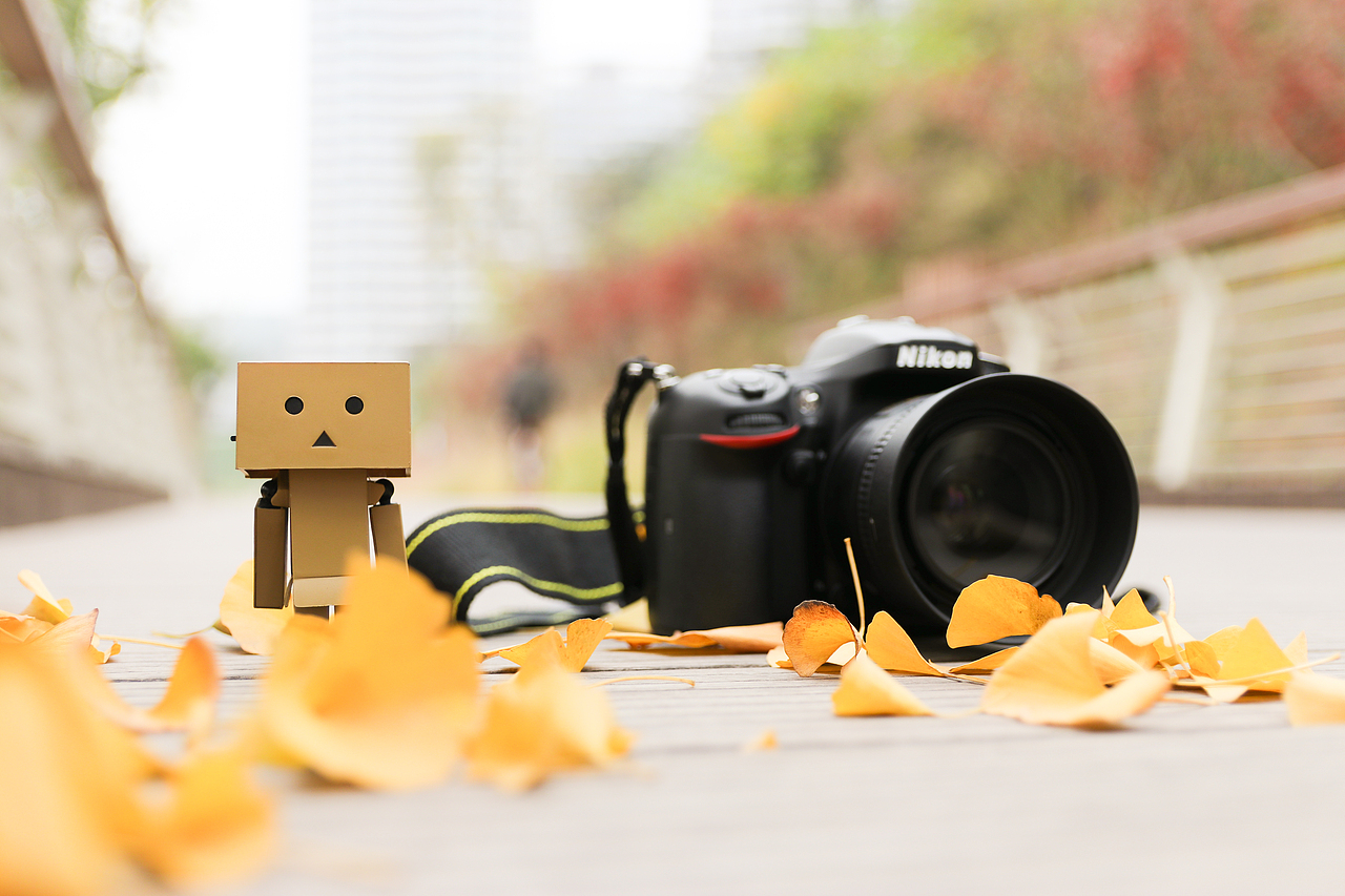 晚秋（图ZOTg3MzczNzY=） - 产品摄影 - 站酷设计师蒋帅帅原创素材 - 站酷ZCOOL