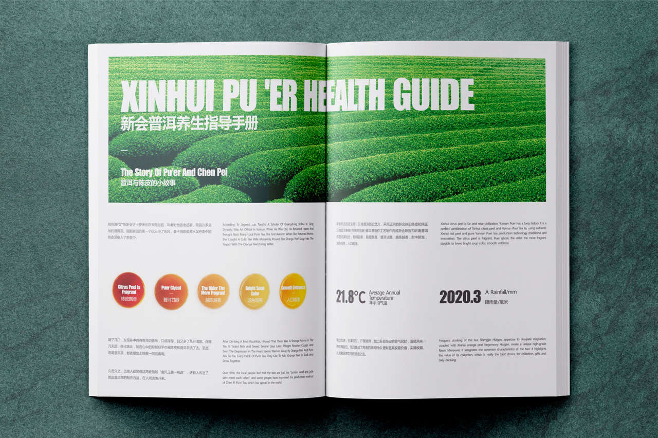 新会普洱养生手册 | 茶叶画册提案