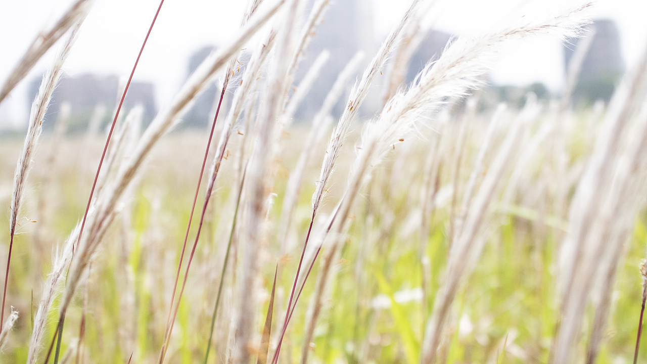 【杭州】杭州随拍