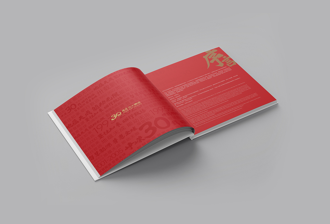 定制纪念册I纪念册设计I周年纪念册I定制画册