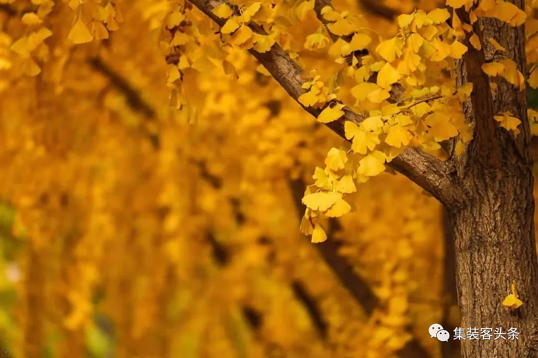 集装箱街道网红驿站设计（图ZMzA3MTMxMTc2） - 建筑设计 - 站酷设计师集装客原创素材 - 站酷ZCOOL