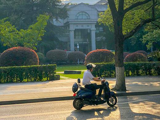 均由iPhone 8 plus拍摄的一些日常