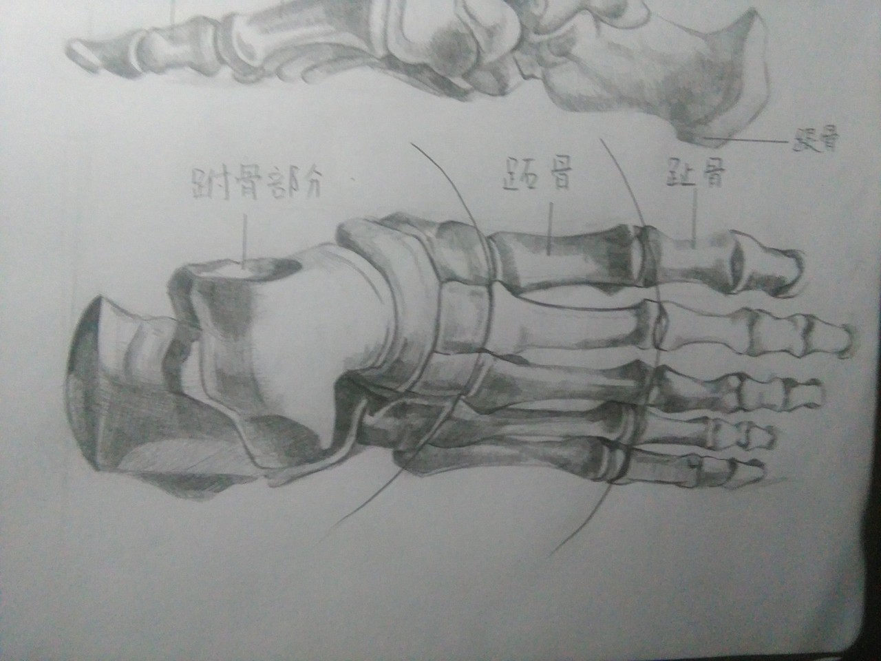 人頭插畫(huà)（圖ZMTQ0Mjk2NDgw） - 創(chuàng)作習(xí)作 - 站酷設(shè)計(jì)師緣泣腥蠛原創(chuàng)素材 - 站酷ZCOOL