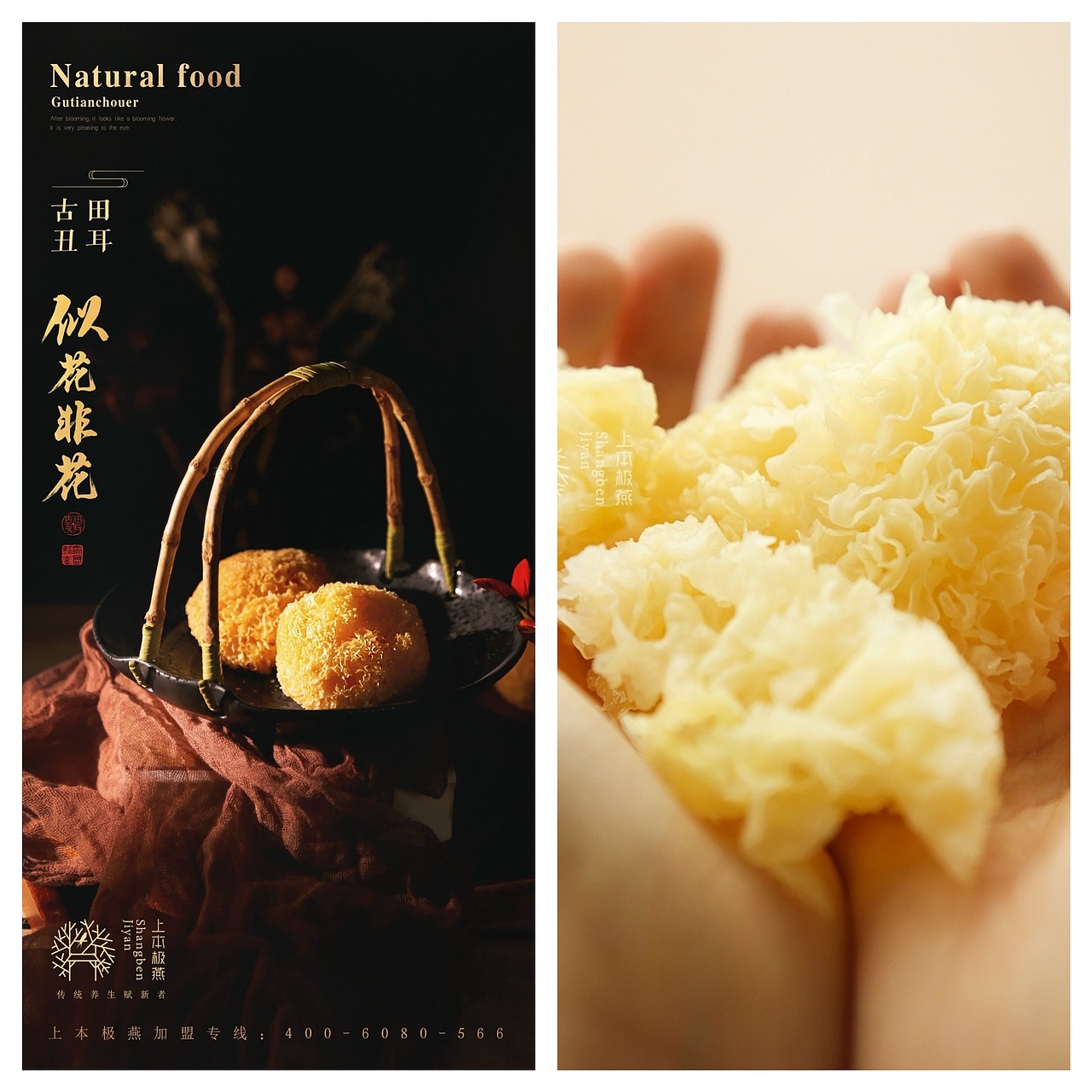 产品摄影(化妆品|燕窝|木耳|香菇|茶叶|辣条)