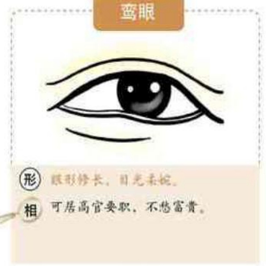 麻衣神相中眼型