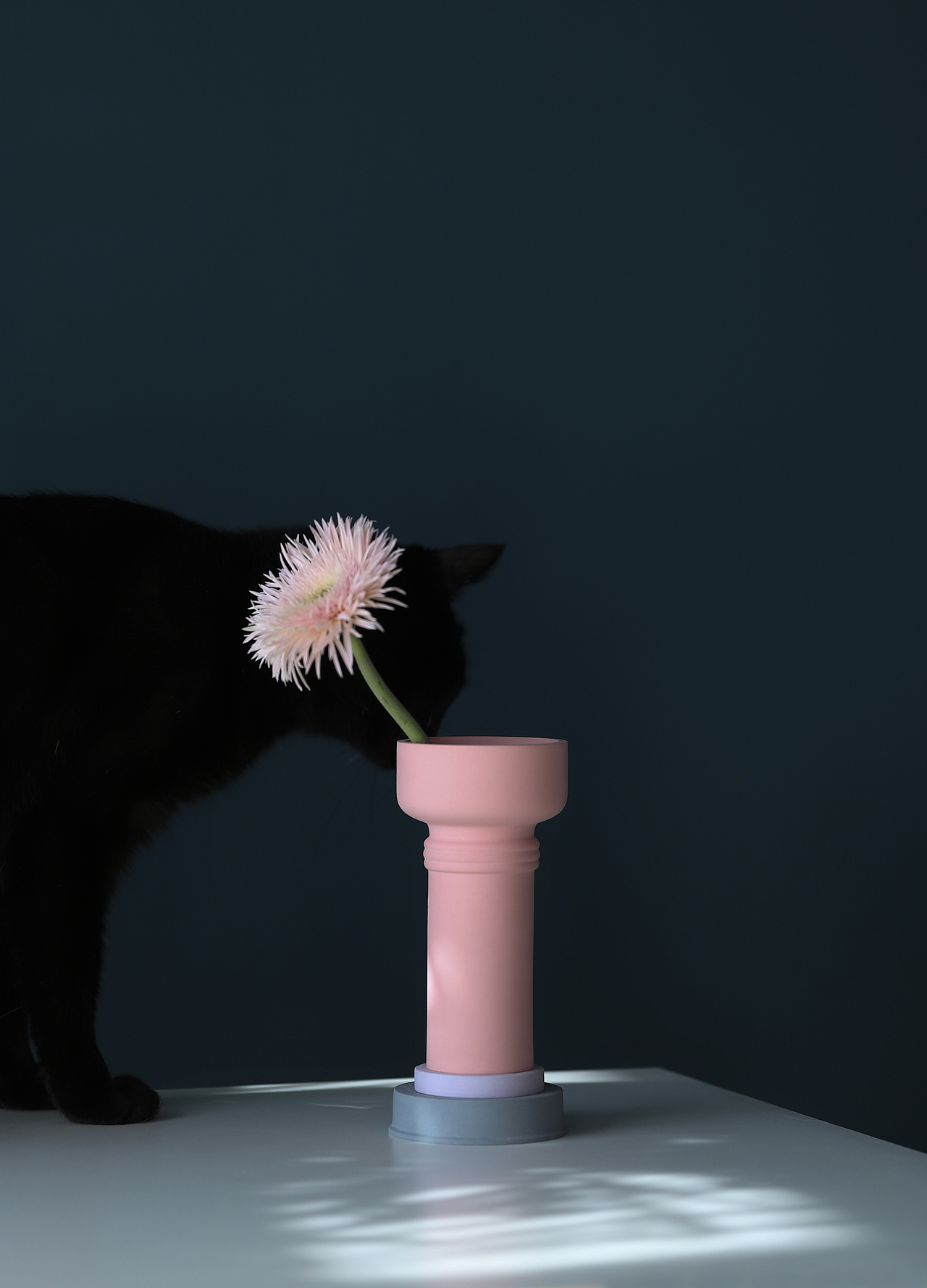 2019年花器拍摄杂集（图ZMTk4MjcxNjU2） - 产品摄影 - 站酷设计师煤球球的猫尾巴原创素材 - 站酷ZCOOL