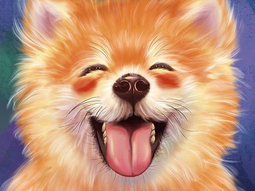 柴犬