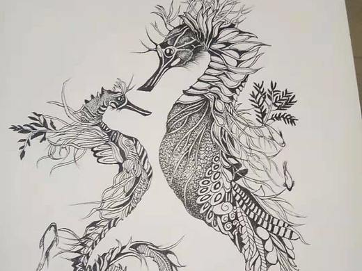 海马