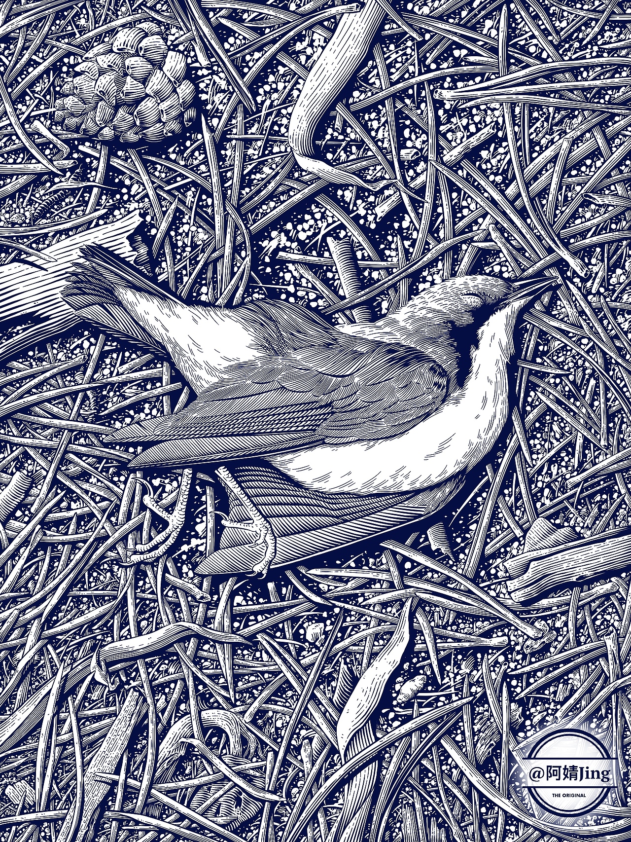 阿婧Jing | 2023年插画合集