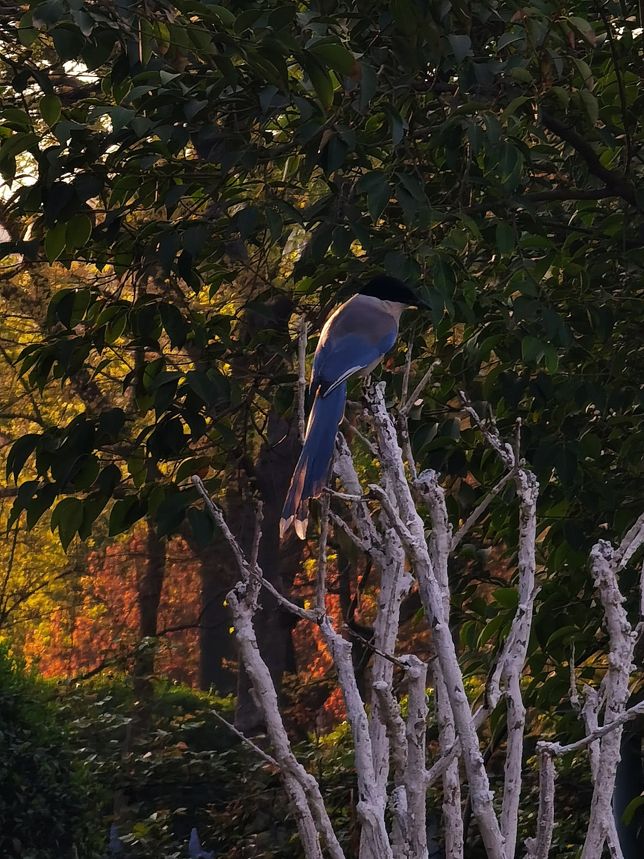 苏醒的动物和人（图ZMzM2MDU5NTQ0） - 风光摄影 - 站酷设计师湖西路十六号原创素材 - 站酷ZCOOL