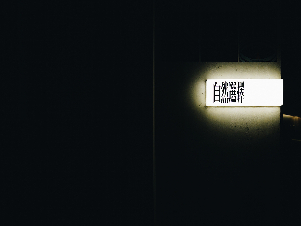 自然选择 精酿啤酒 一周年NATURAL SELECTION TAPROOM 