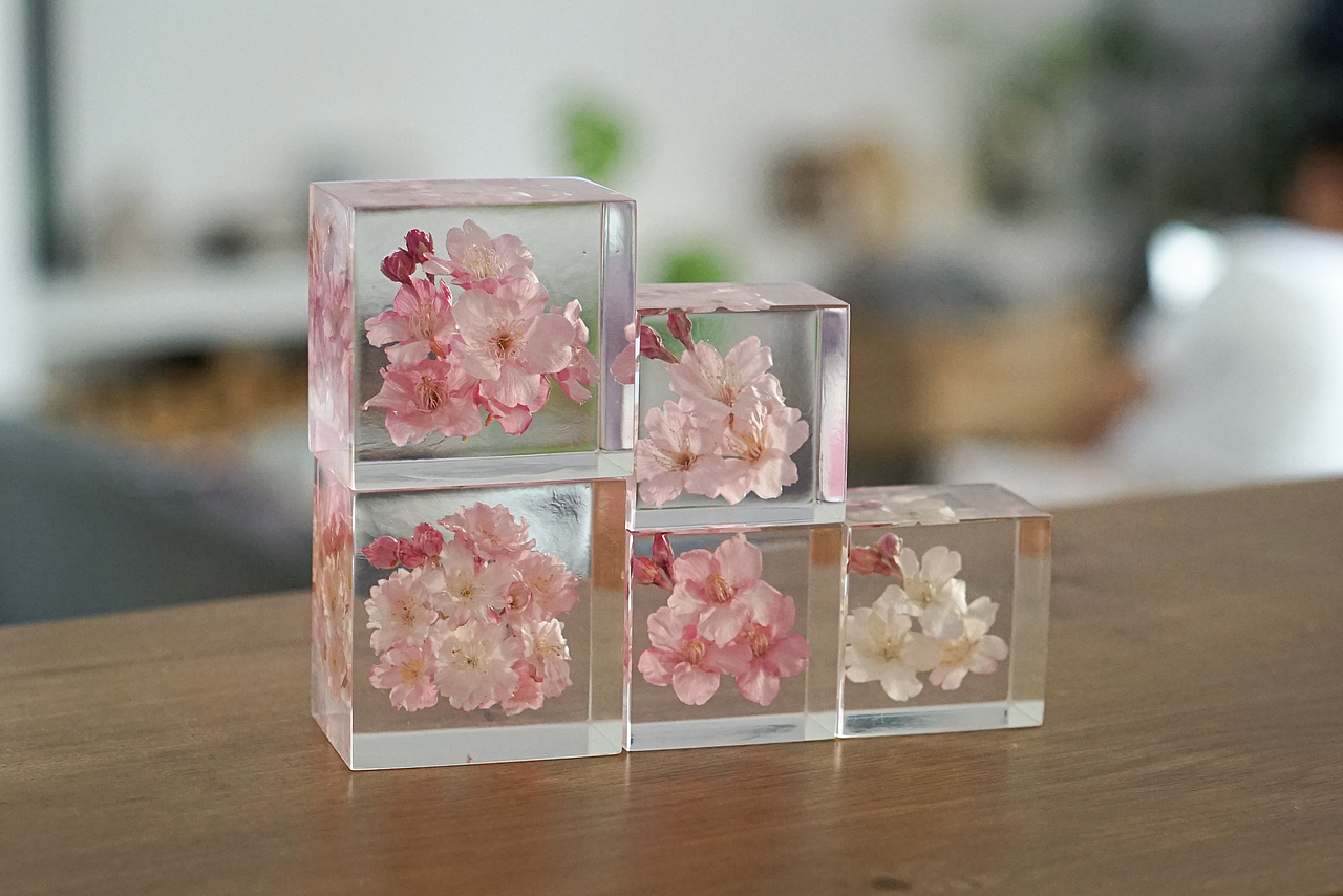 樱花立方体标本摆件（图ZMzEyMTA4OTg4） - 产品摄影 - 站酷设计师月球飞来的胖企鹅原创素材 - 站酷ZCOOL