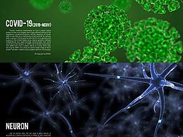 醫(yī)學(xué)元素建模（一）