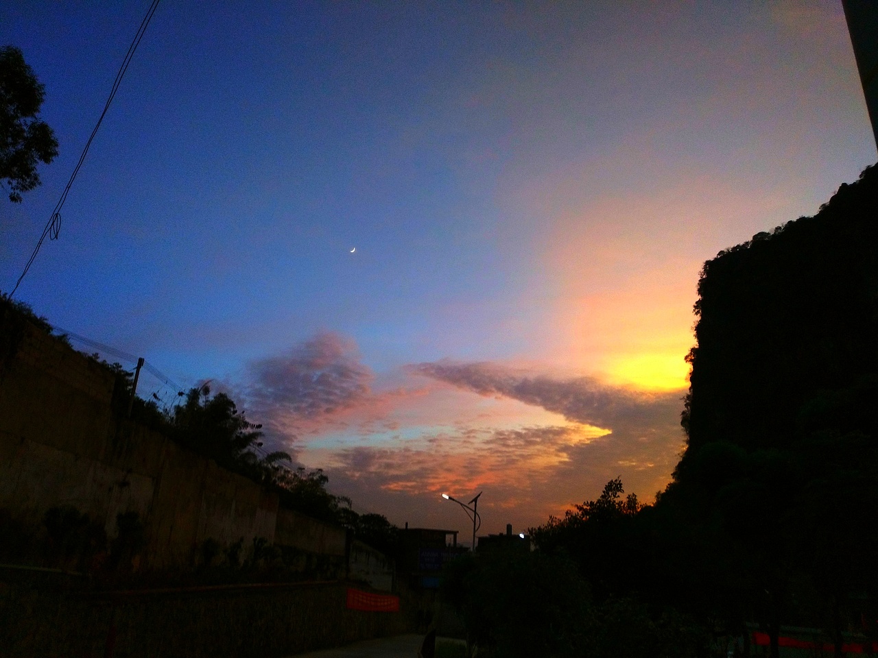 此是景区以及家乡的柚子树