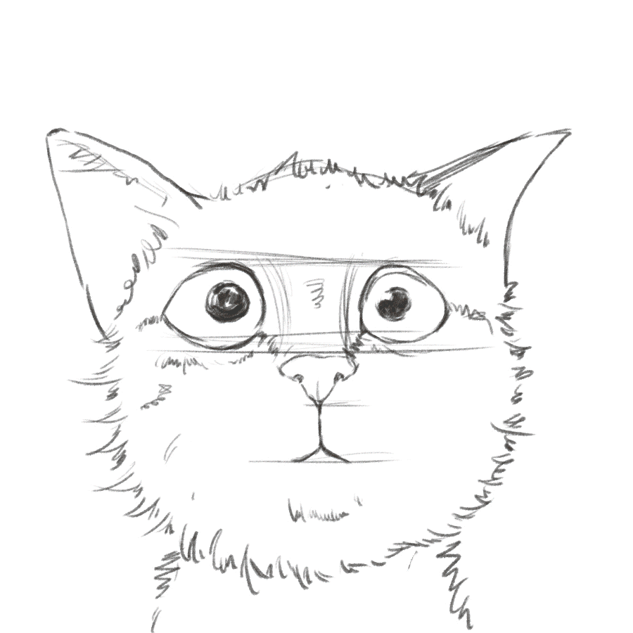 猫咪合集（图ZMjY1Mjc0OTcy） - 创作习作 - 站酷设计师Suri_yan原创素材 - 站酷ZCOOL