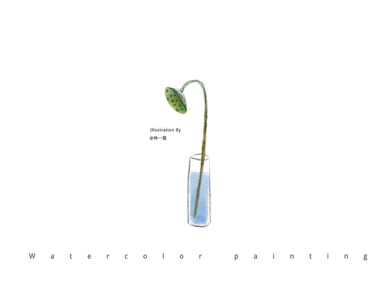 水彩植物拆分练习