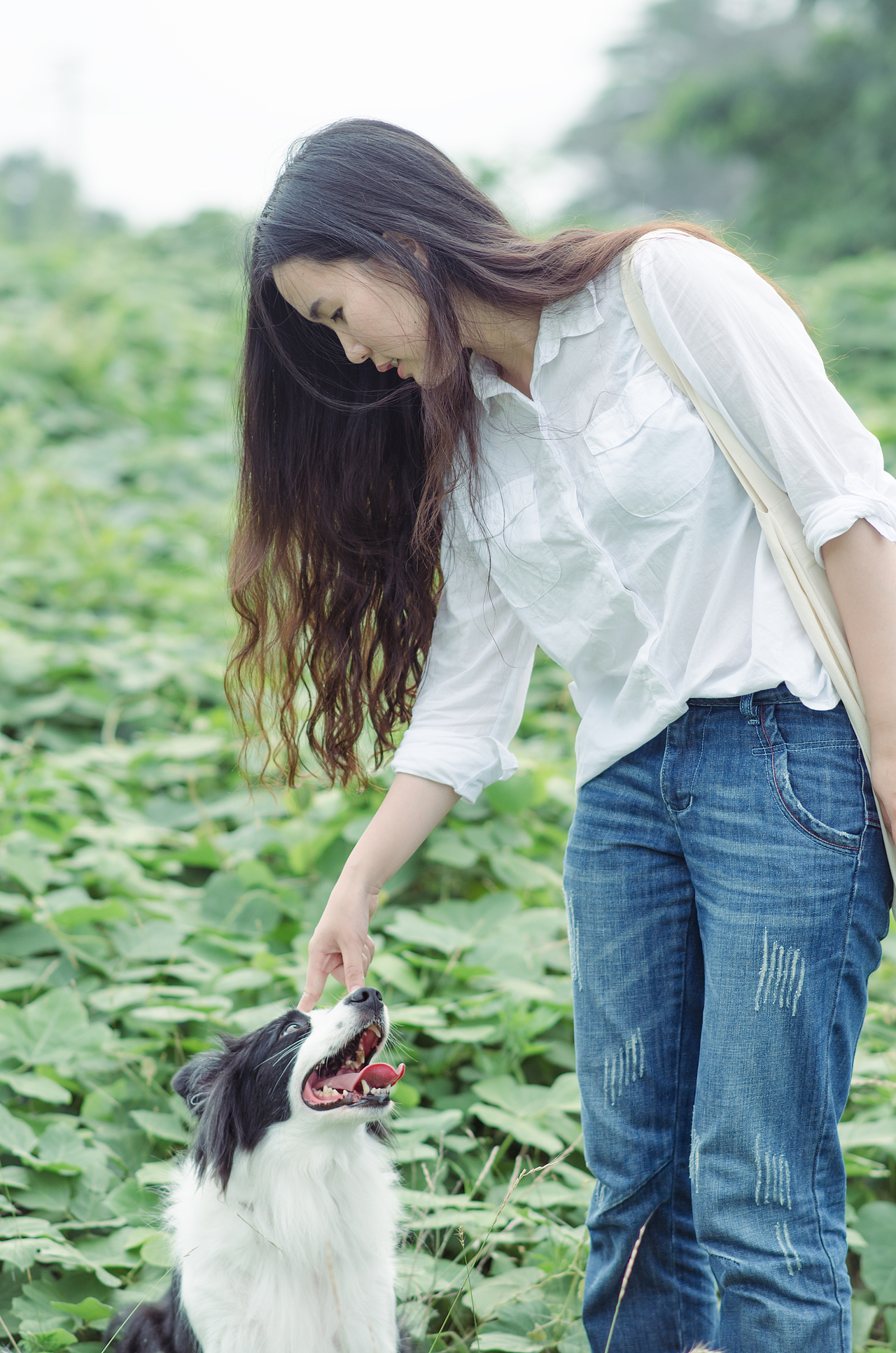 It is my fortune to meet you