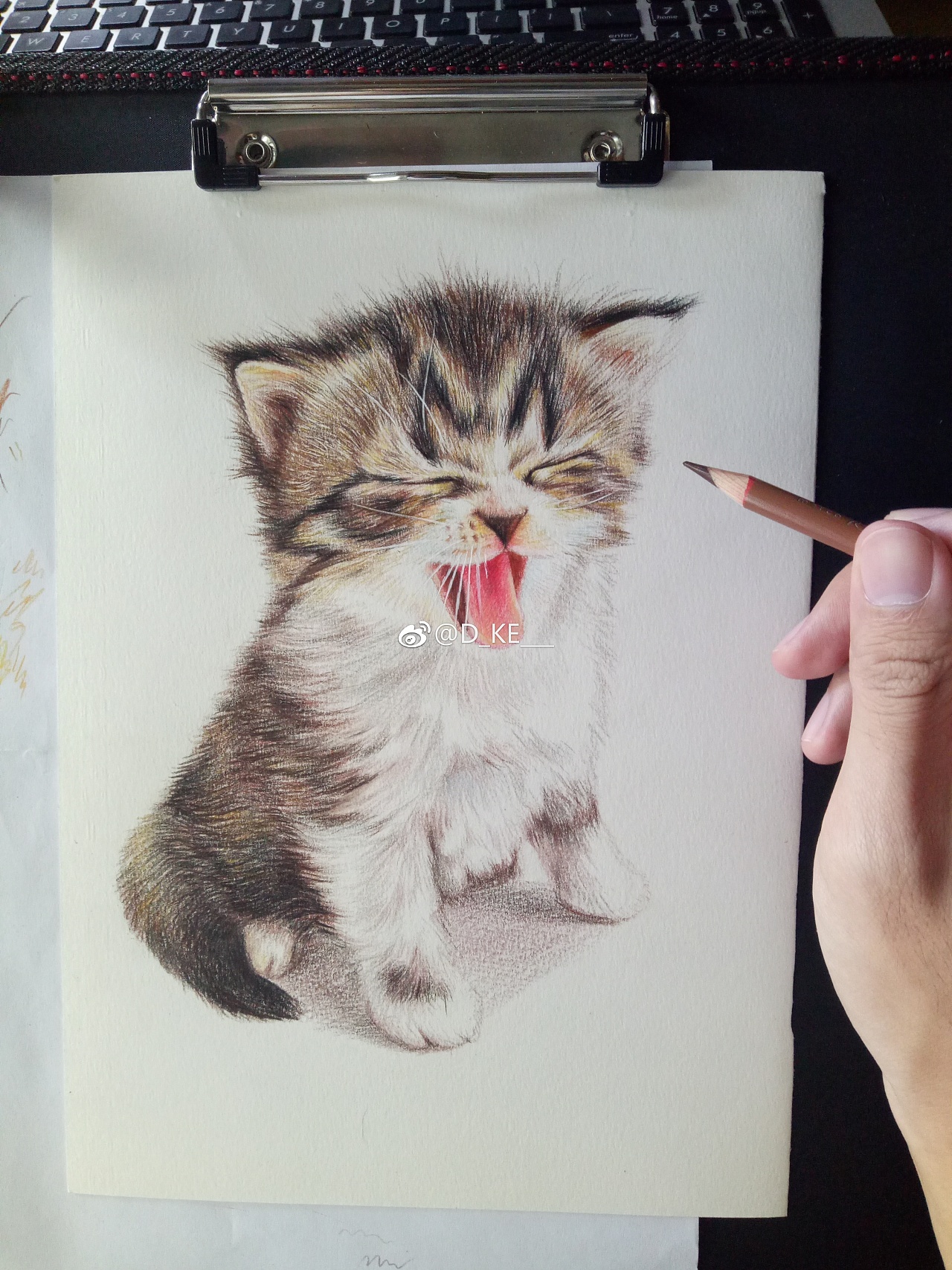彩铅~奶猫