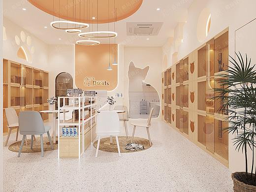 宠物店