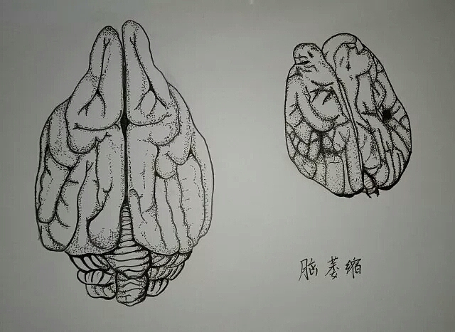 兽医|犬脑萎缩（图ZMTEyMjY1NDY4） - 绘画 - 站酷设计师黄泉路撒冷原创素材 - 站酷ZCOOL