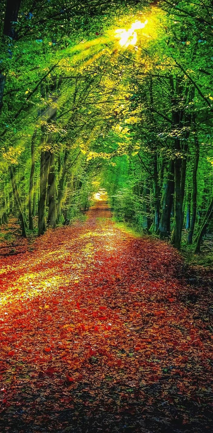 墙体彩绘涂鸦 案例图片分享13461460833