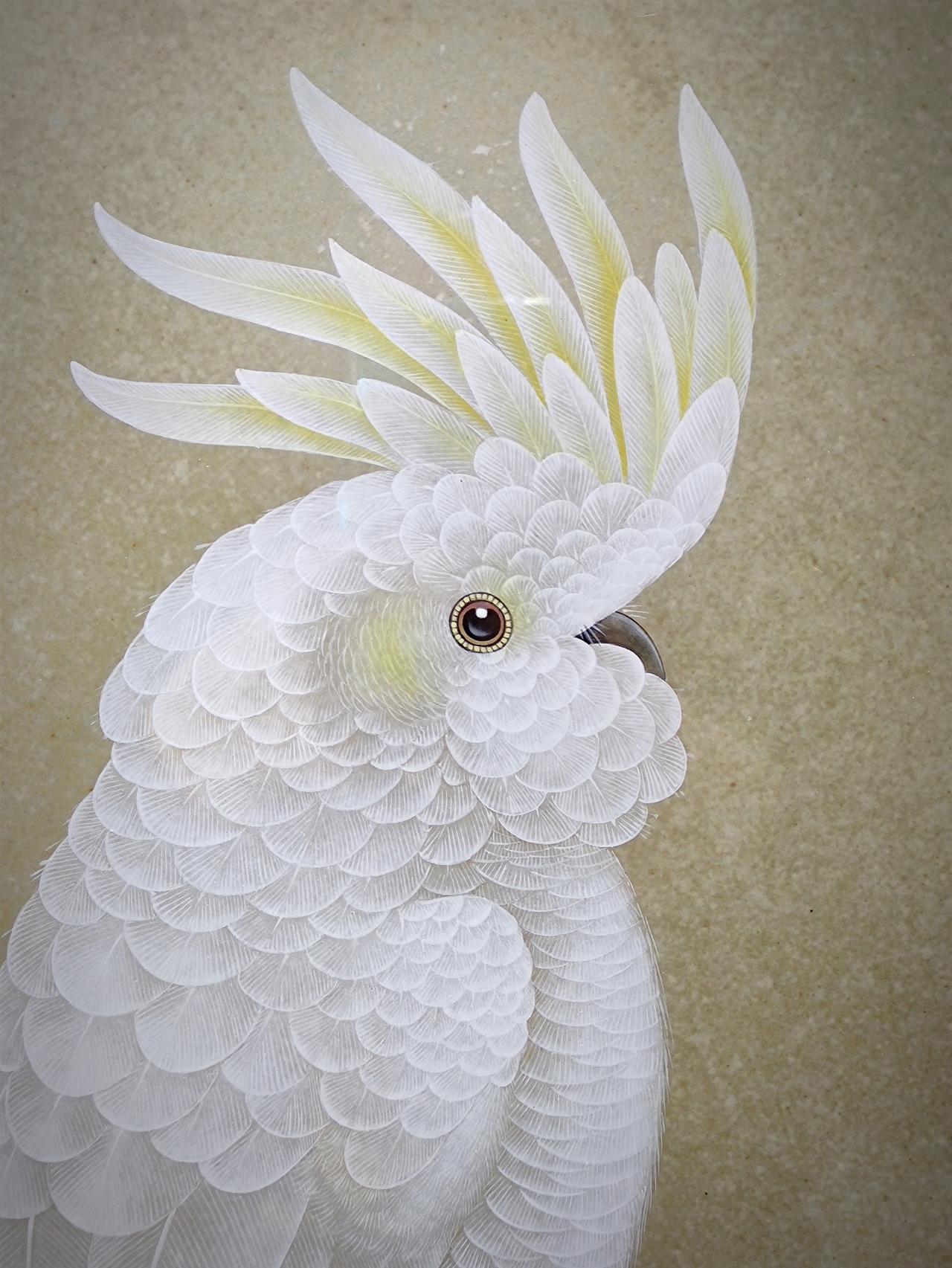 葵花鹦鹉颜色釉加彩瓷板画