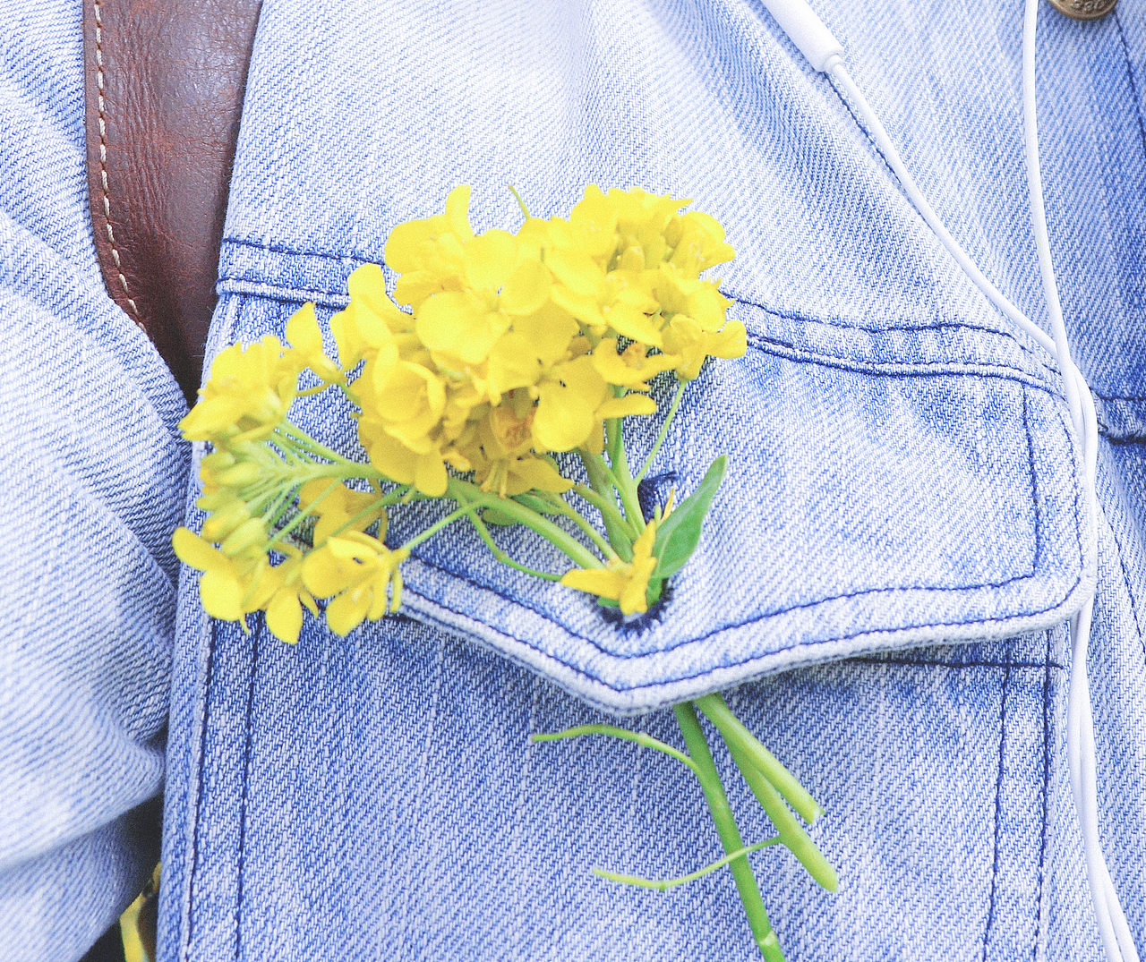 我们生来不属于什么地方