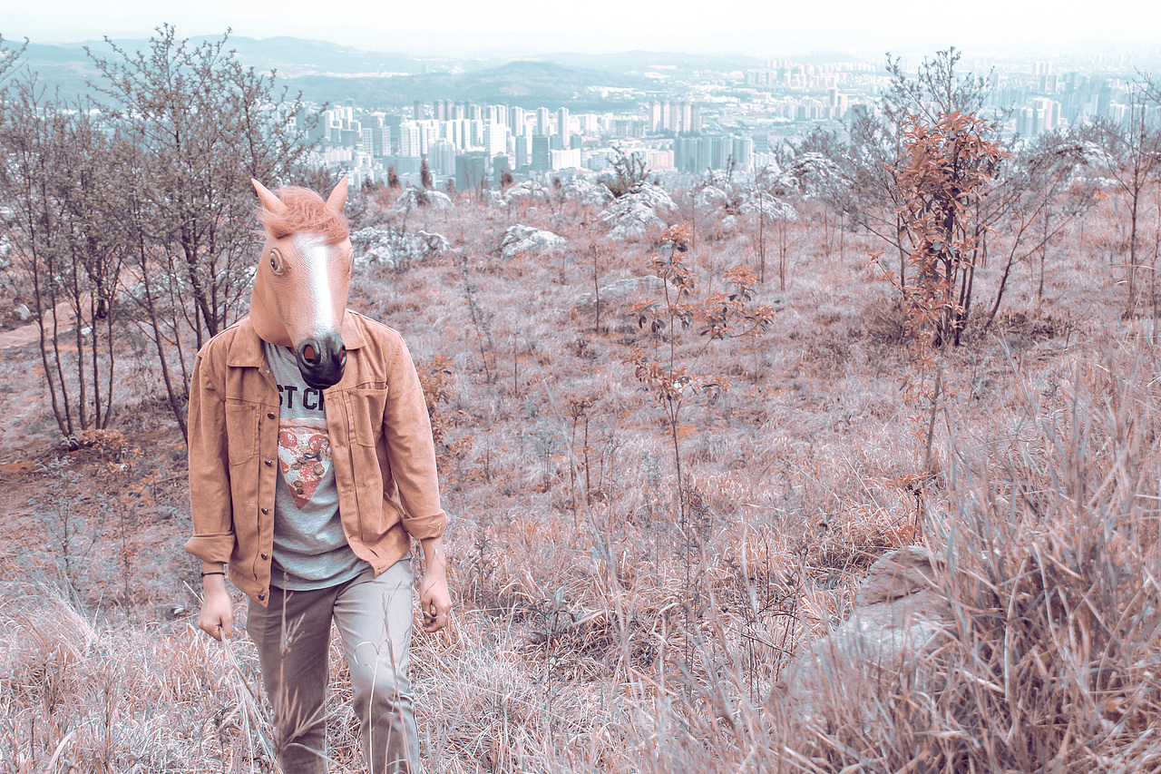 野里 | 姓张的马先生