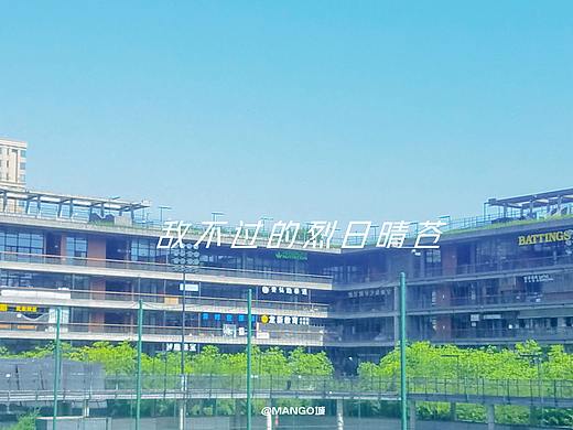 城市原创手机摄影  用手机拍夏天『敌不过的烈日晴苍』