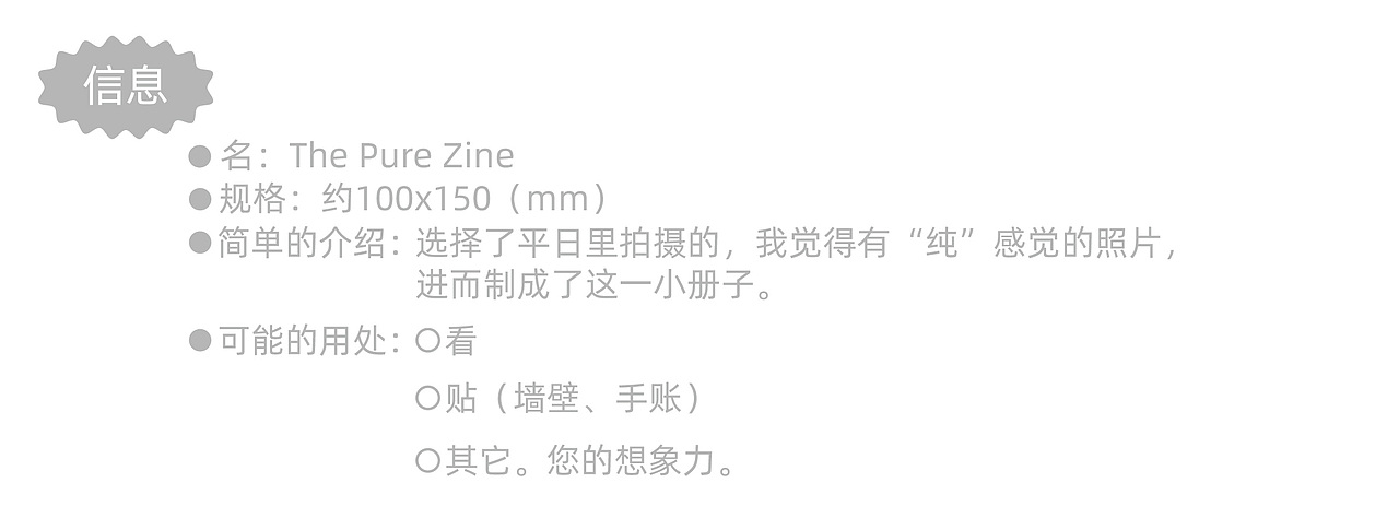 The Pure Zine 摄影小册子