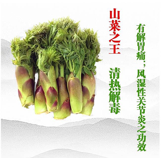 商城Banner（图ZMTE4MDE0NjU2） - 图案 - 站酷设计师Ruiwan_原创素材 - 站酷ZCOOL