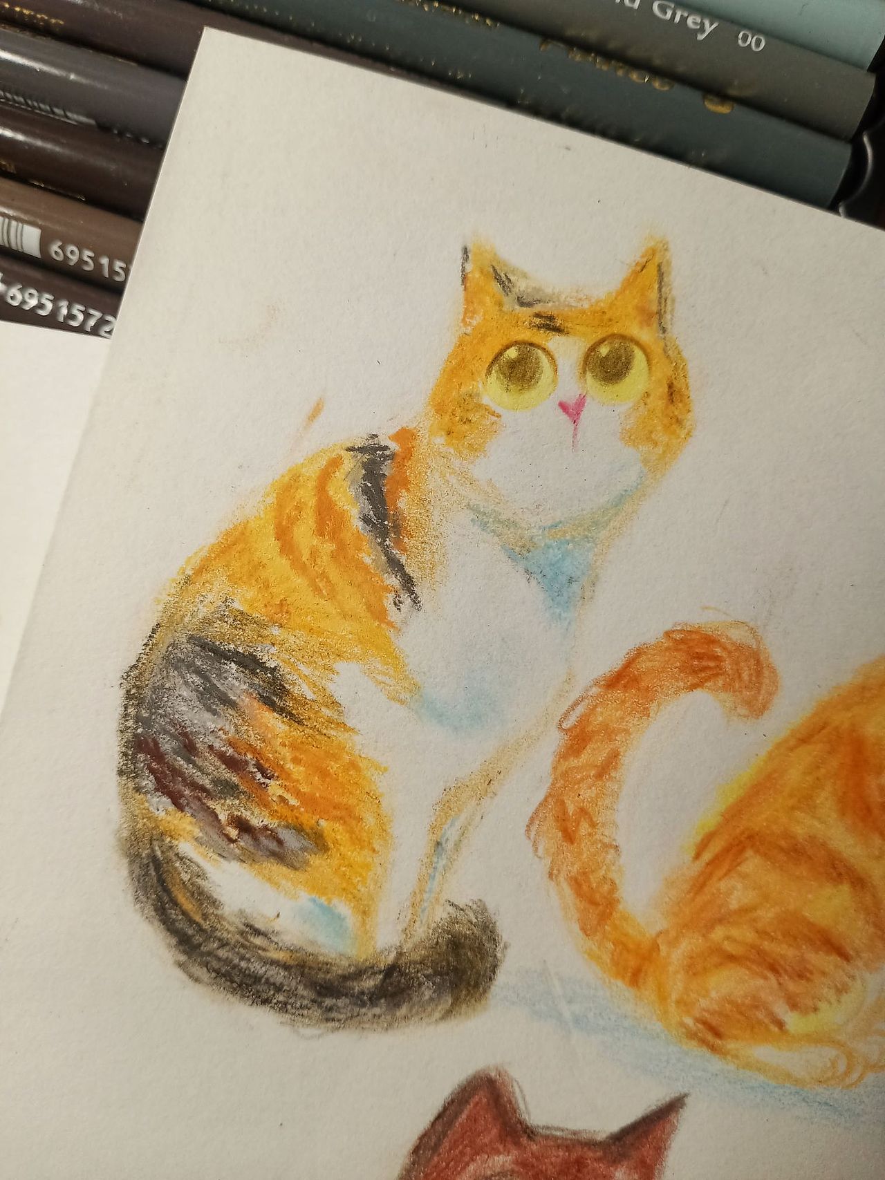 彩铅猫咪