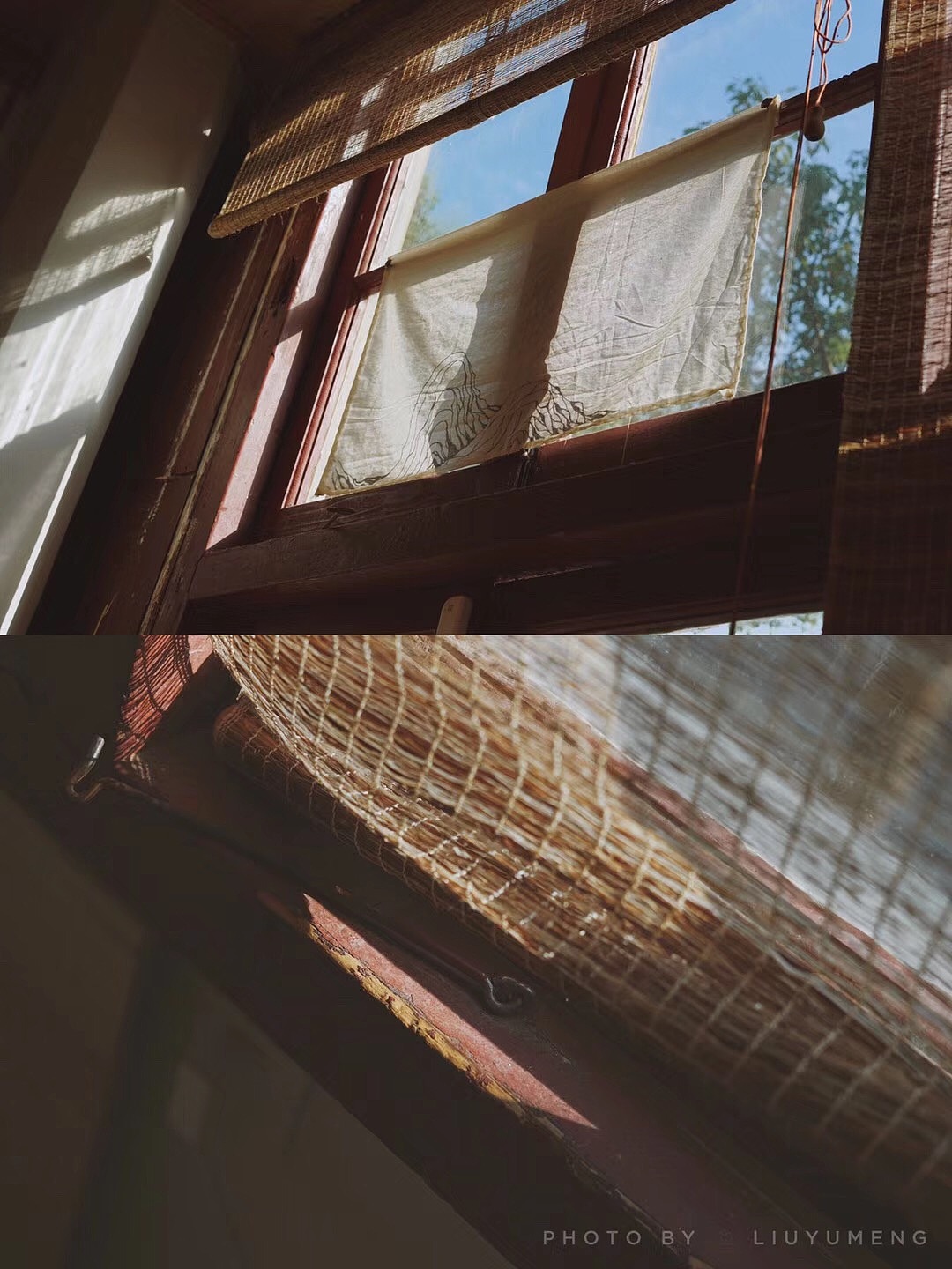 bestlight | 无梦的人