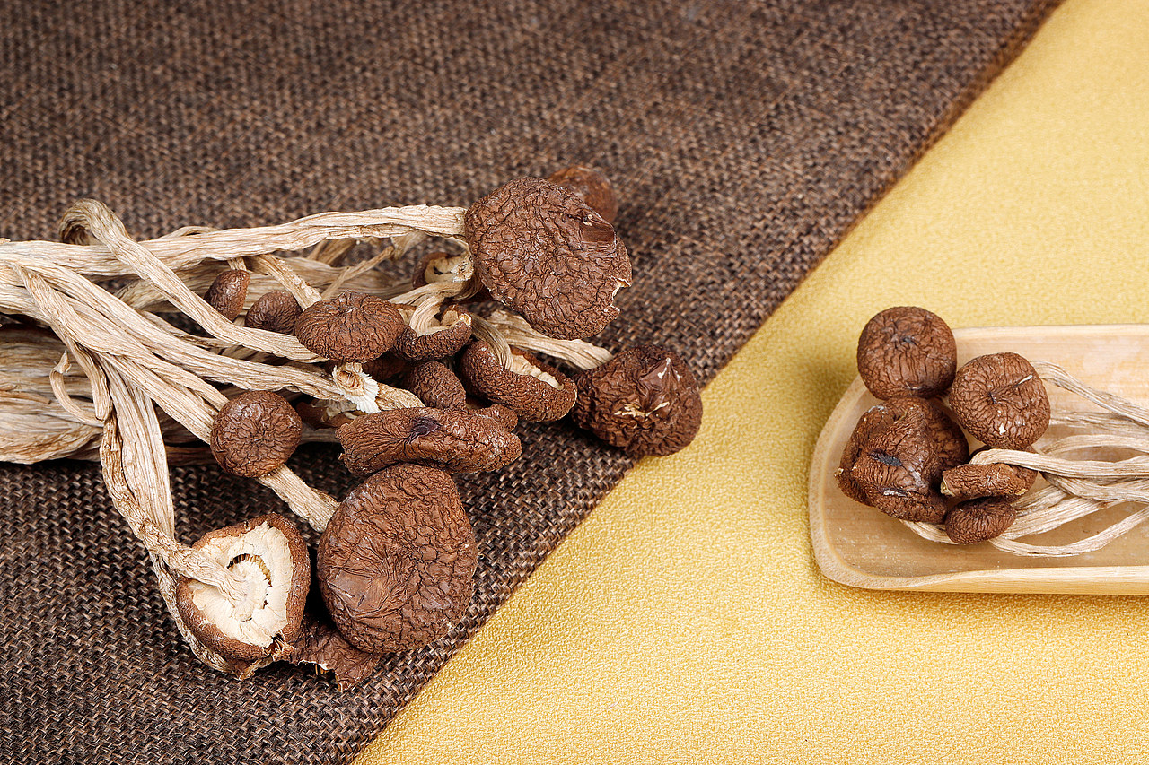 茶树菇-产品拍摄