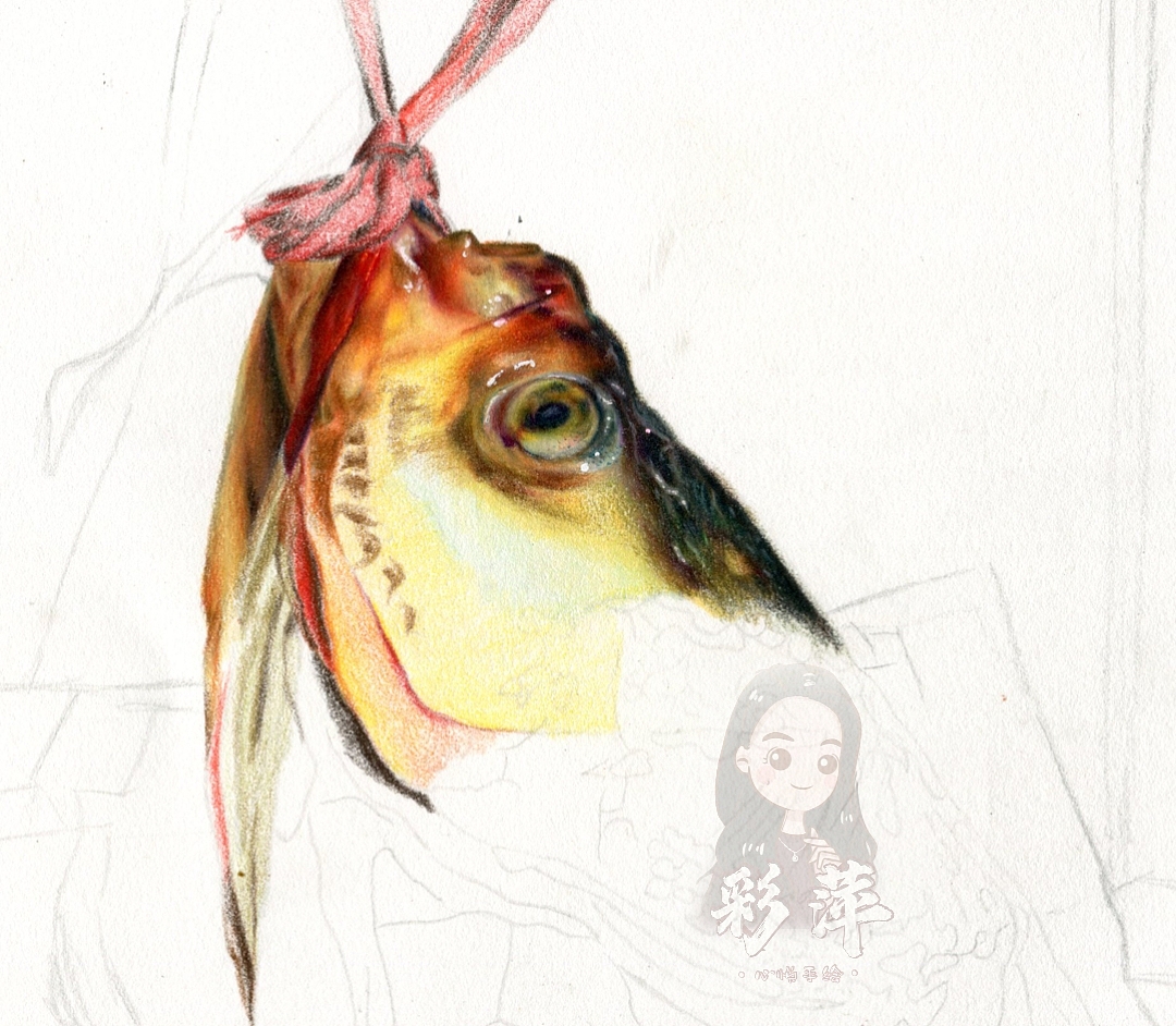 彩鉛-胖頭魚(yú)（圖ZMjY1OTE0MjIw） - 繪畫(huà) - 站酷設(shè)計(jì)師心悅彩鉛繪原創(chuàng)素材 - 站酷ZCOOL