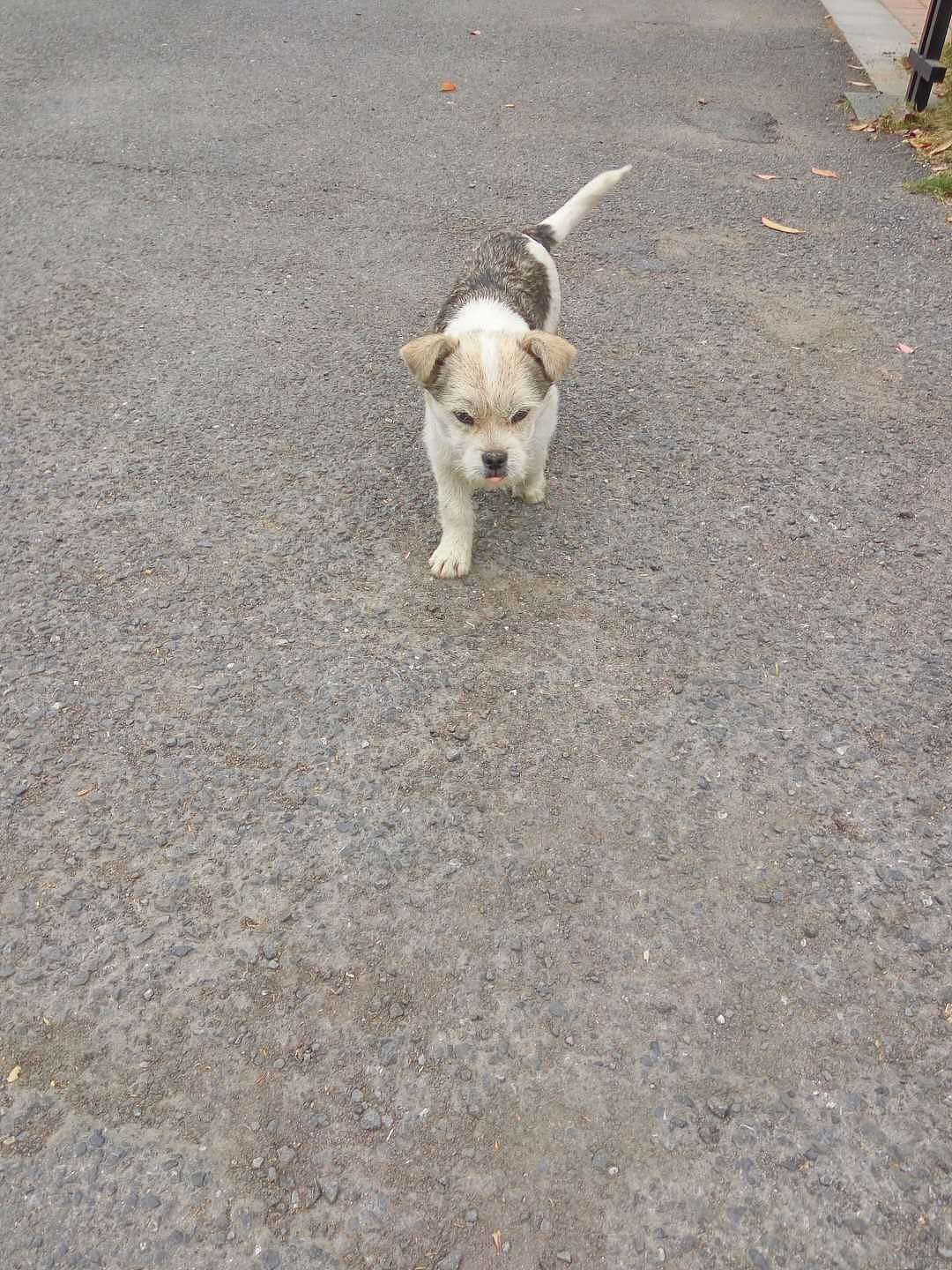 遇见（图ZMTEyMTA3MjY4） - 人文/纪实摄影 - 站酷设计师焉寐语原创素材 - 站酷ZCOOL