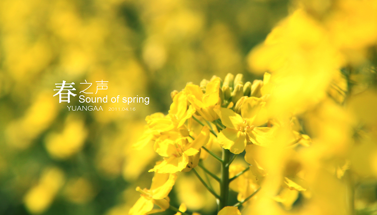 春之声