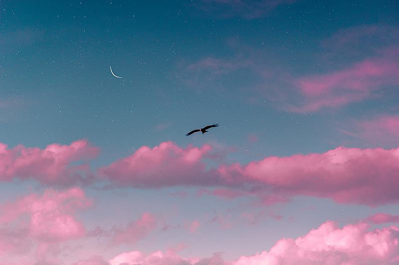 Jonas daley
<br><br><br><br><br><br>