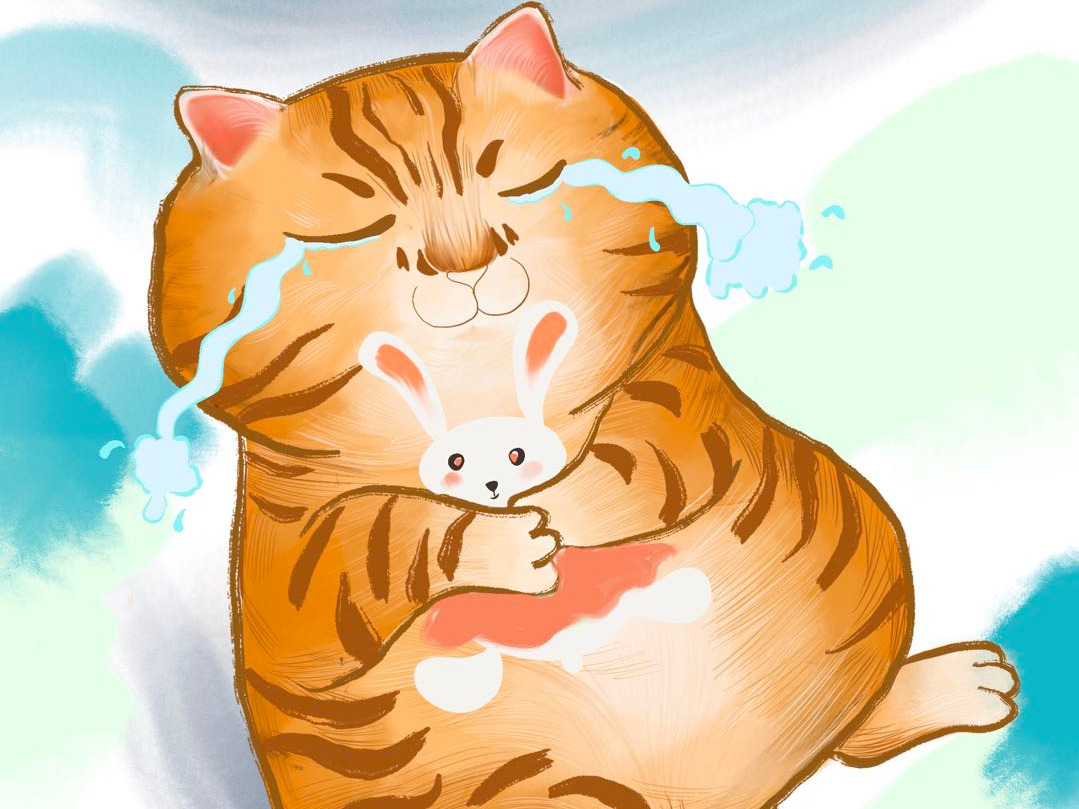 猫咪哭的表情包流泪-图库-五毛网