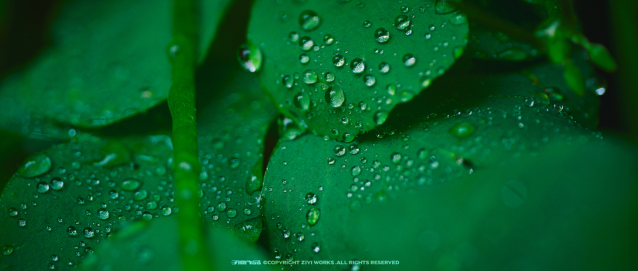 《LAOWA MFT 50/2.8 MACRO 2X》（图ZMjE4MjIzNDg4） - 风光摄影 - 站酷设计师摄影师子意原创素材 - 站酷ZCOOL