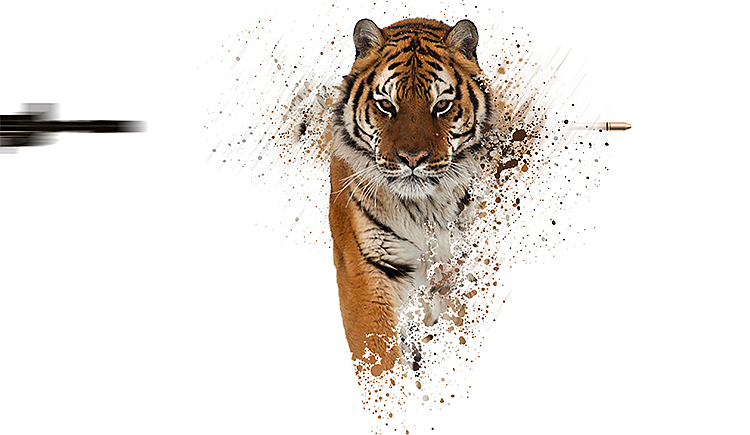 瞬間即是永遠(yuǎn)（圖ZMzEzMDQwNzY=） - 海報(bào) - 站酷設(shè)計(jì)師社科原創(chuàng)素材 - 站酷ZCOOL