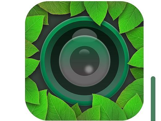 app图标设计（个人主页-ZMzc0Mzc5NzY=） - 图标 - 站酷设计师半夏的柠檬原创素材 - 站酷ZCOOL