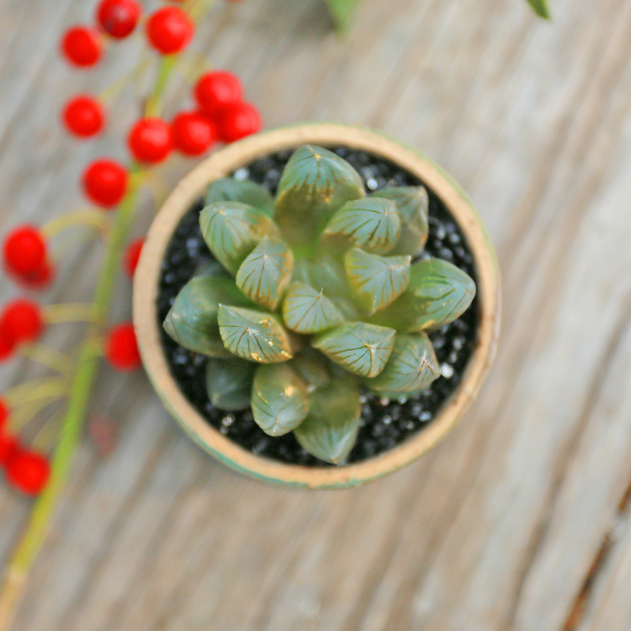 金凤玉露一相逢，便盛却人间无数（图ZMTM2ODM2ODky） - 产品摄影 - 站酷设计师溪隐创意原创素材 - 站酷ZCOOL