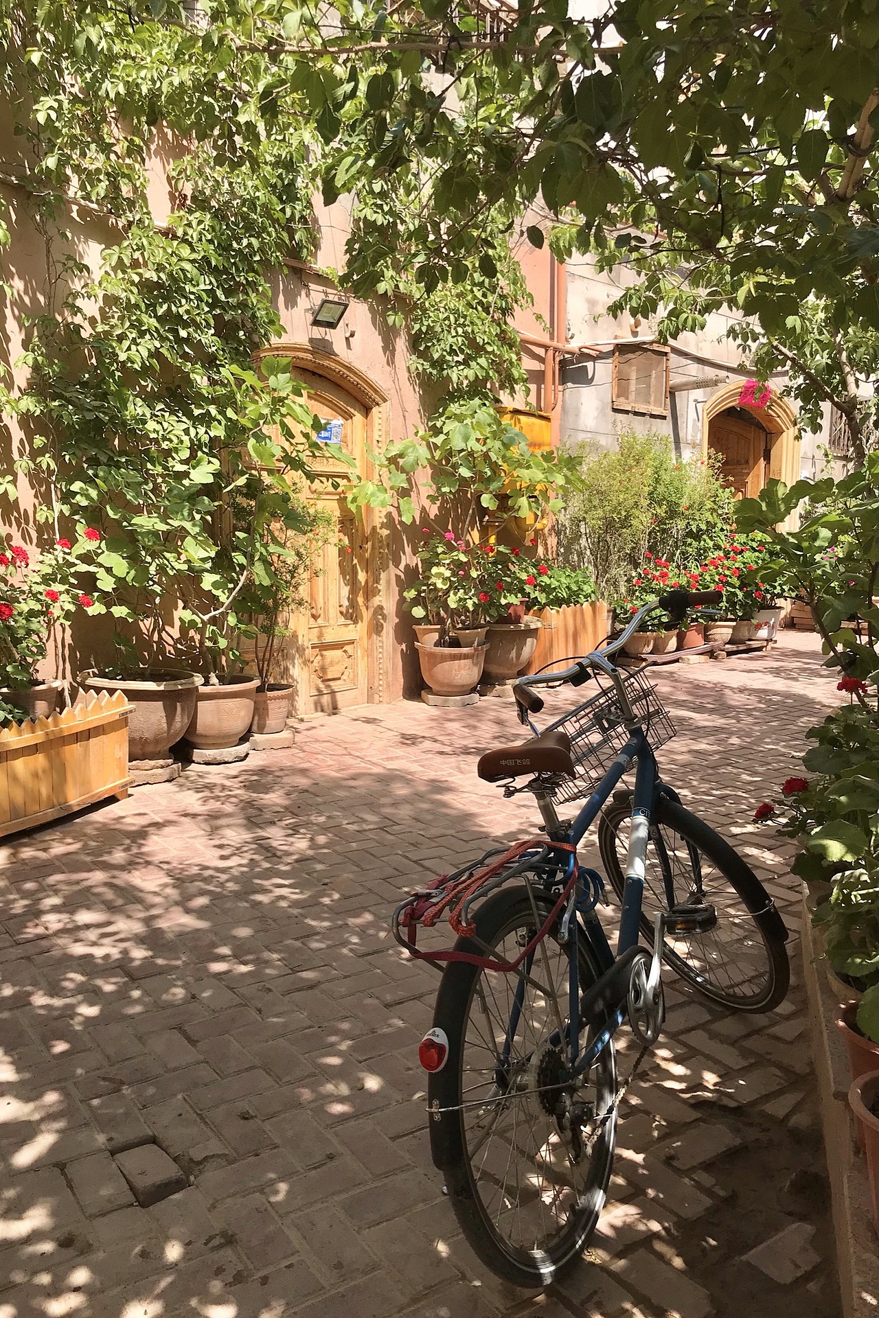 摄影日记丨西北之行